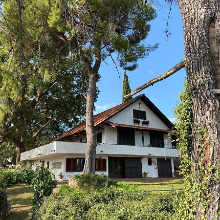 Wild Oaks Cottage Kriopigi Exterior photo