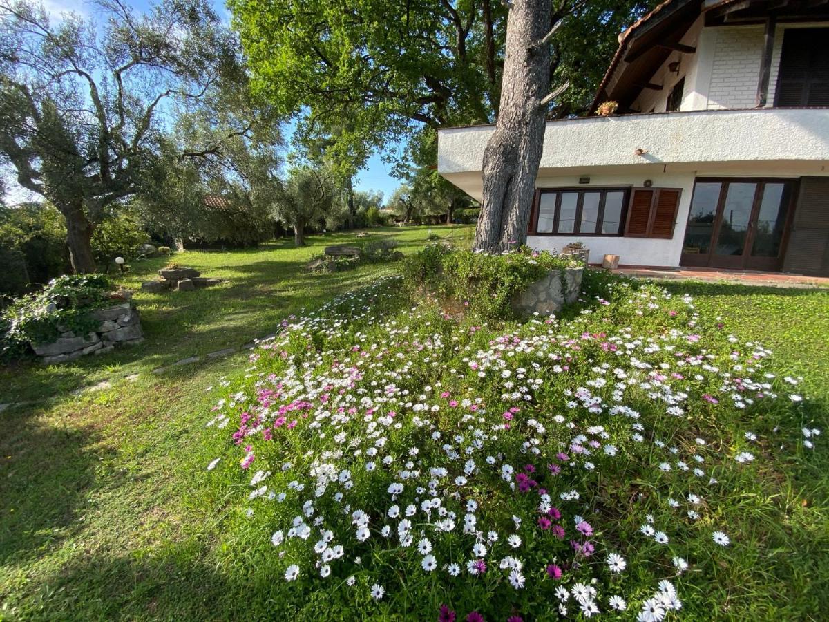 Wild Oaks Cottage Kriopigi Exterior photo